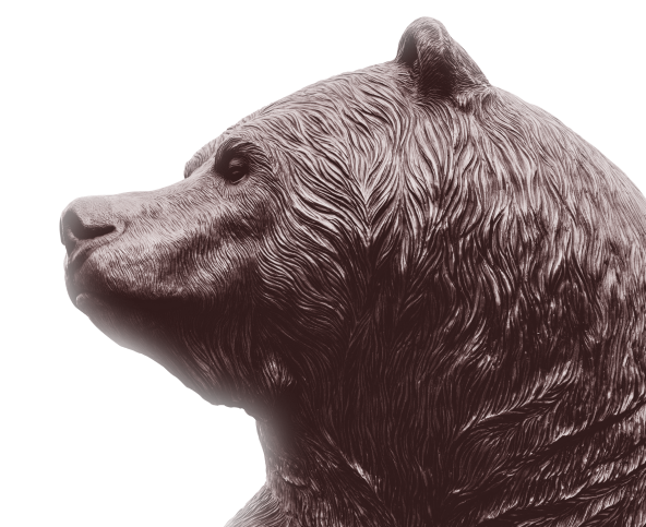 bear image