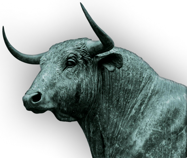 bull image